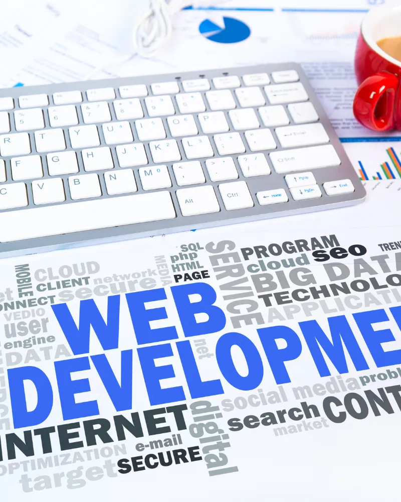 تصميم وتطوير المواقع